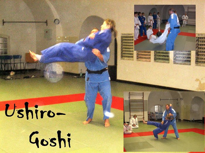 41-4_Ushiro_goshi