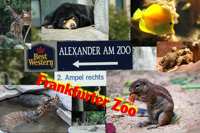00_Frankfurter_Zoo